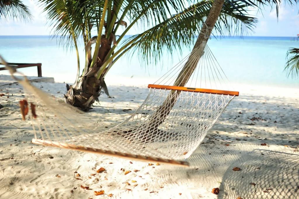 Pom Pom Island Resort - photo 11
