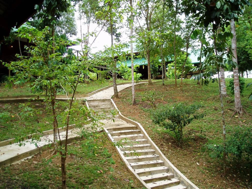 Sukau Proboscis Lodge Bukit Melapi - photo 7