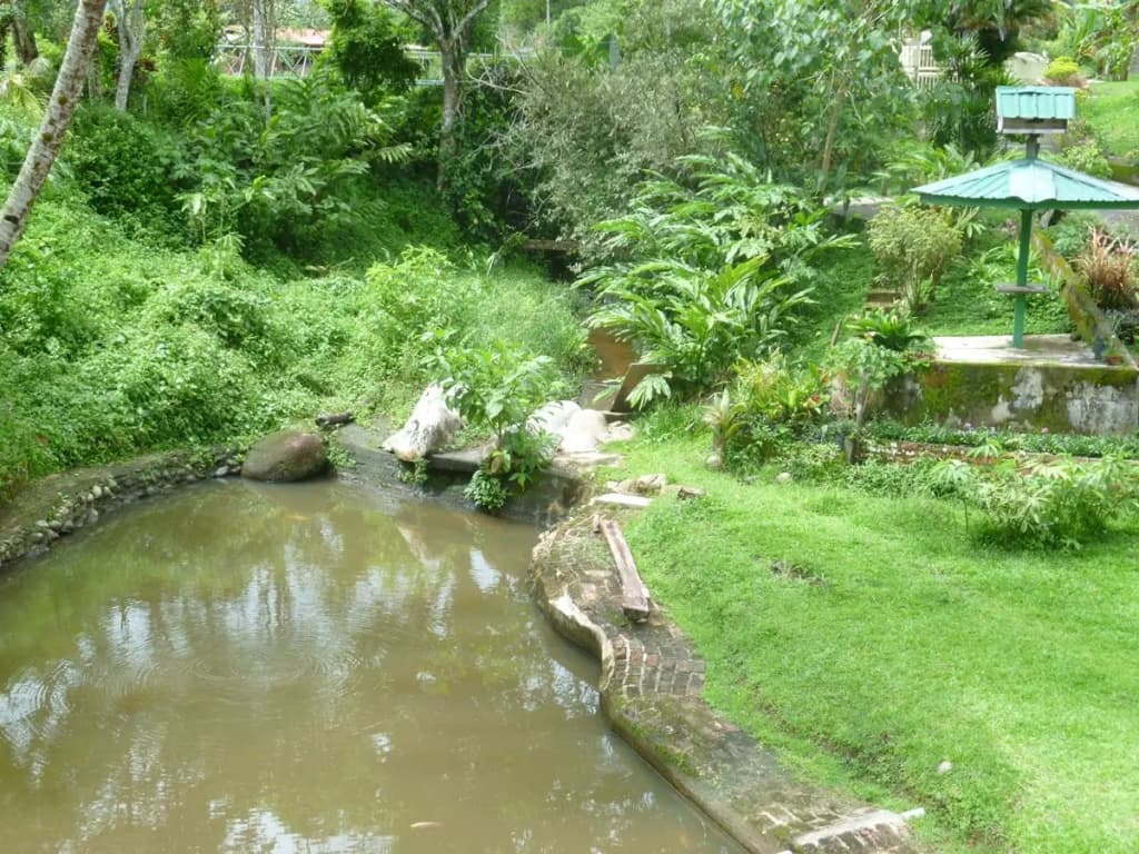 Slagon Homestay - photo 22