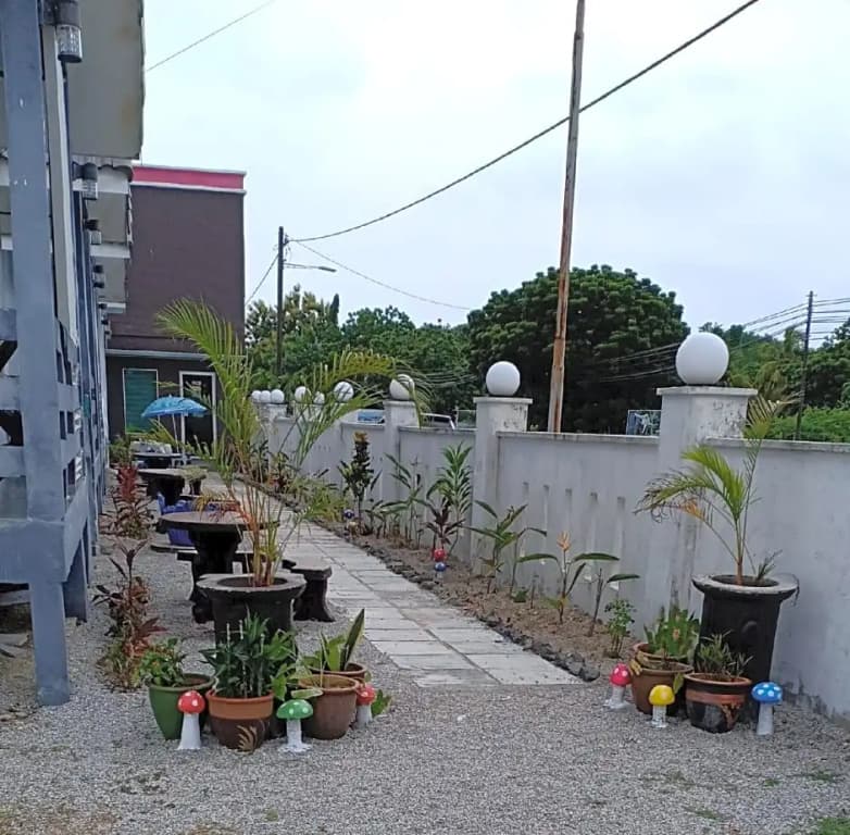 primrose seaview - photo 6