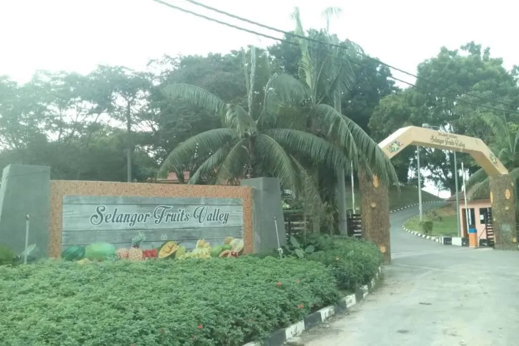 Family House Kuala Selangor - photo 15