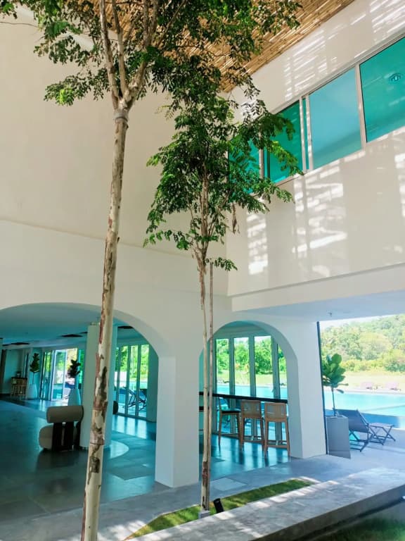 The Bayou Hotel Langkawi - photo 14
