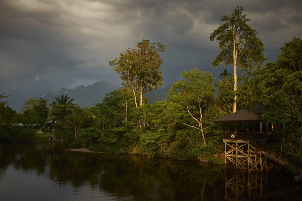 Mulu Marriott Resort - photo 28
