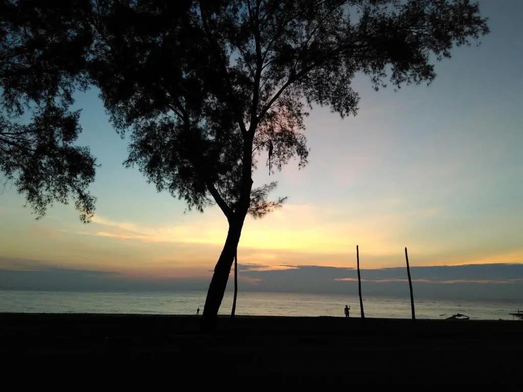 Homestay Memori - photo 1