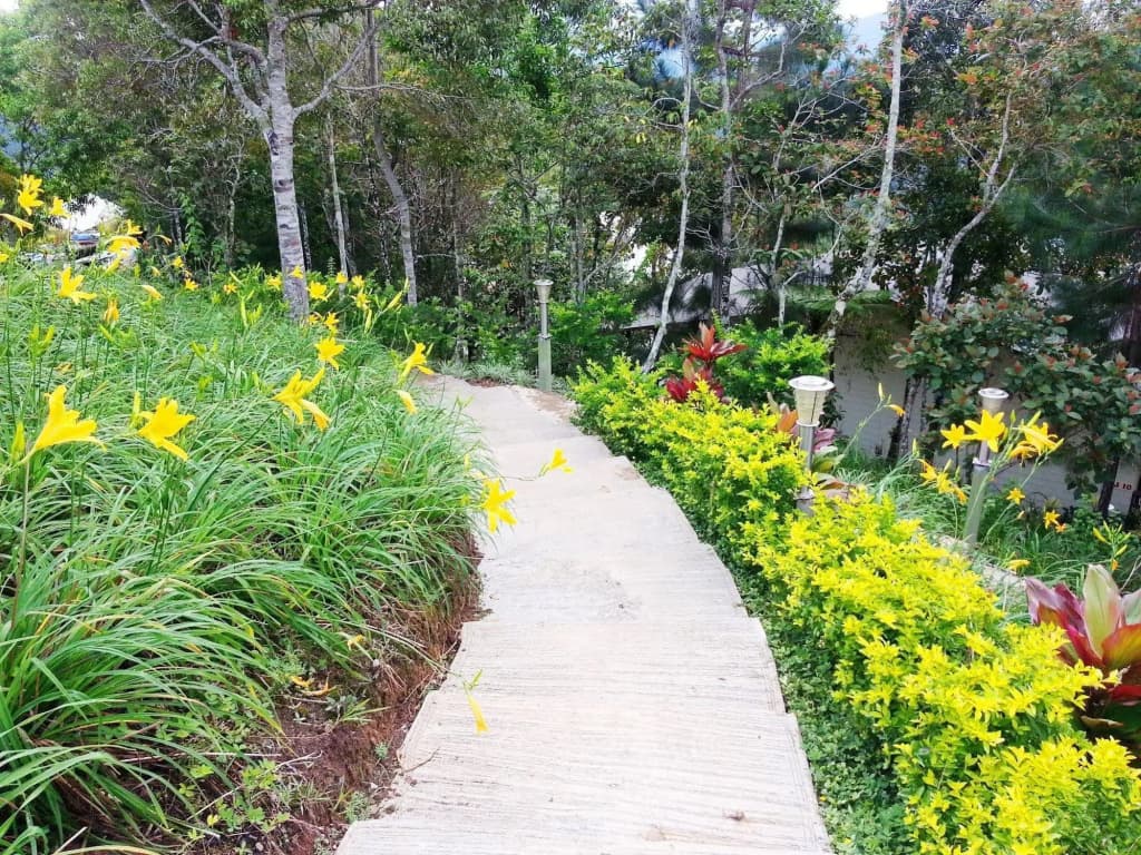 Celyn Resort Kinabalu - photo 13