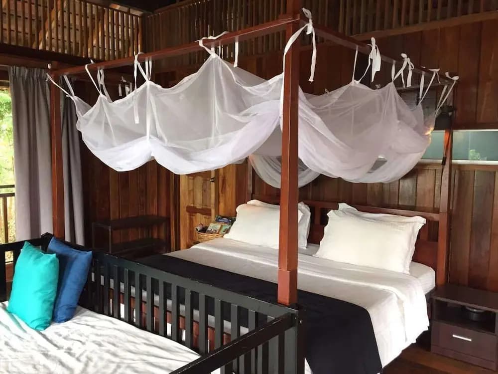 The Shorea - photo 2