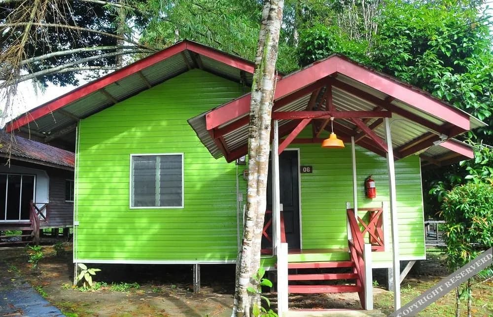 Sukau Greenview Bed and Breakfast - photo 7
