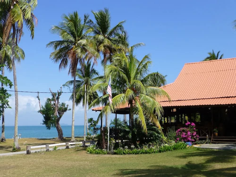 D' Coconut Pulau Besar Resort - photo 6