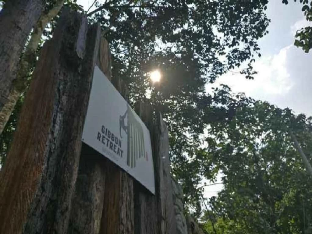 Gibbon Retreat Bentong - photo 10