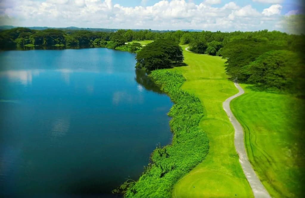 Clearwater Sanctuary Golf Resort - photo 5