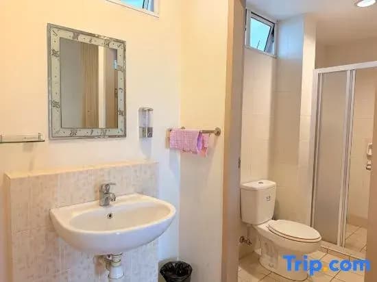 Jeff and Ricky Homestay 35 @ Dogan Townhouse - photo 6