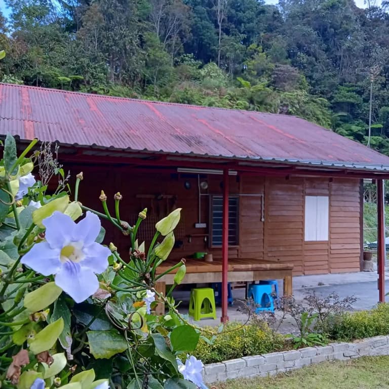 The Rustique Guest House - photo 21