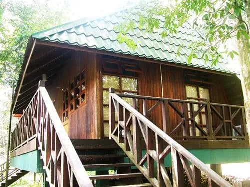 Tabin Wildlife Resort - photo 5