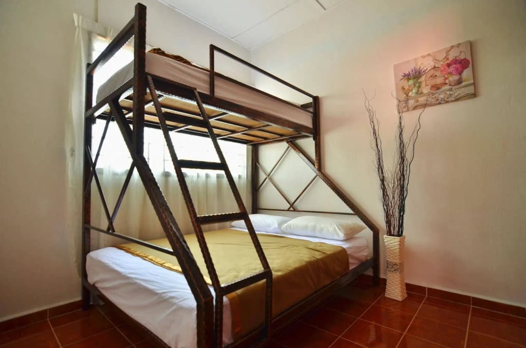 Camelia House - photo 4