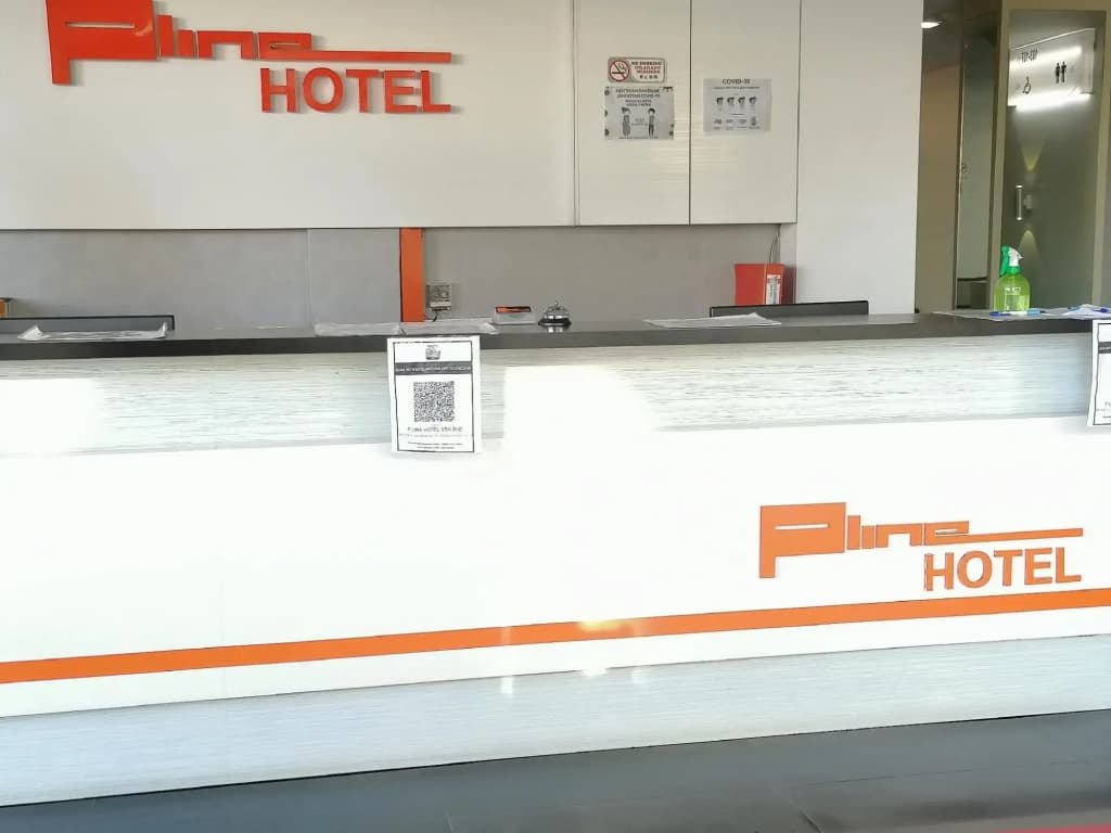 P Line Hotel - photo 1