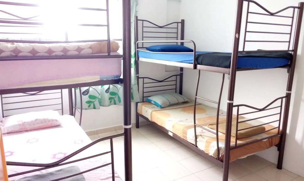 Backpacker's Freak Hostel - photo 6
