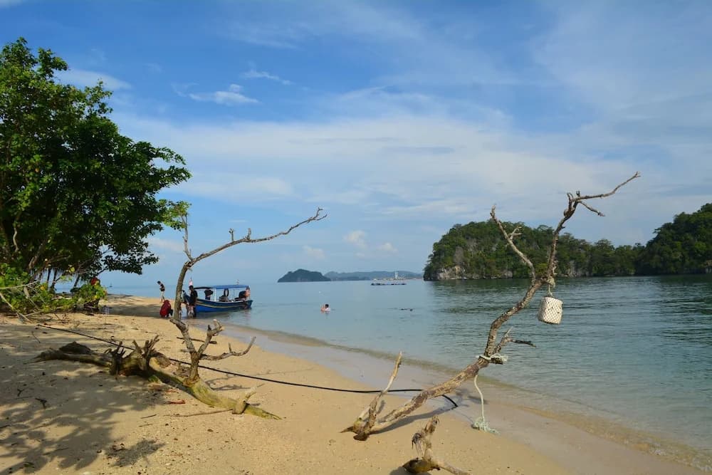 The Jemuruk Island Resort - photo 6