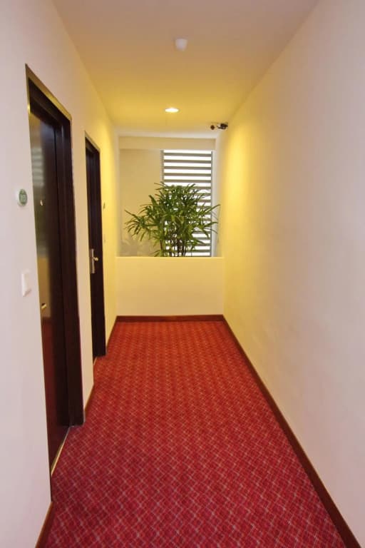 Molek Garden Hotel - photo 11