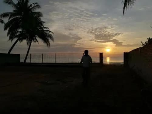 Ala Beach Lodge - photo 21