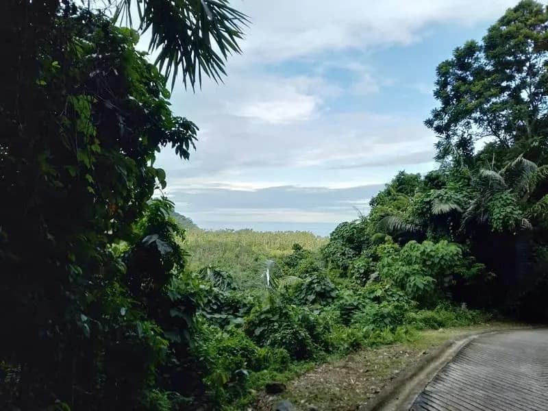 Sunday Juara Lodge - photo 5