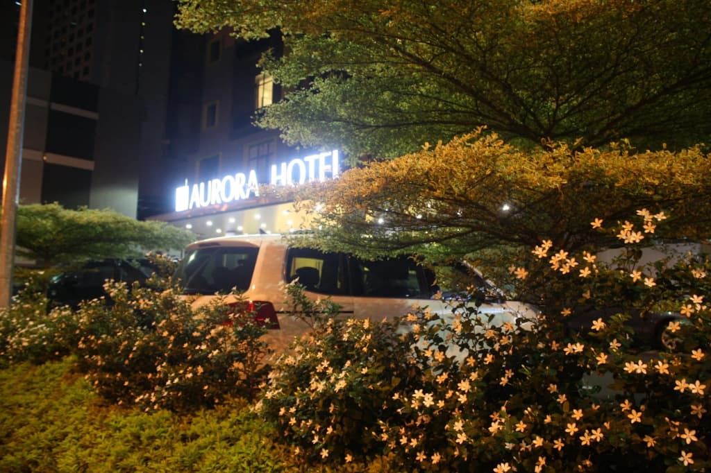 Aurora Hotel - main photo