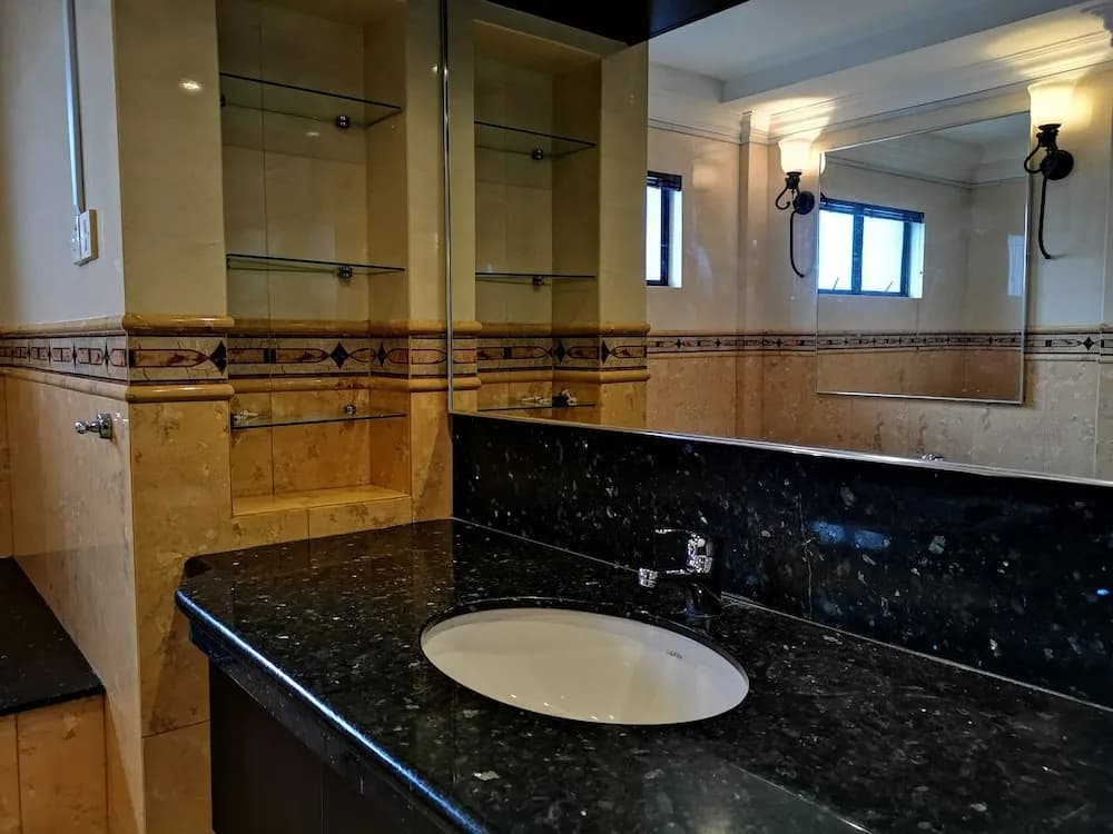 Most Luxurious Penthouse - photo 10