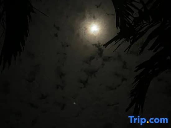 The Firefly Resort Semporna - photo 3
