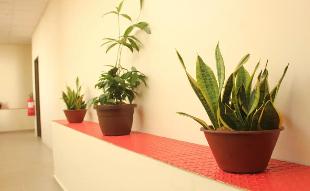 Paretto Seaview Hotel - photo 11