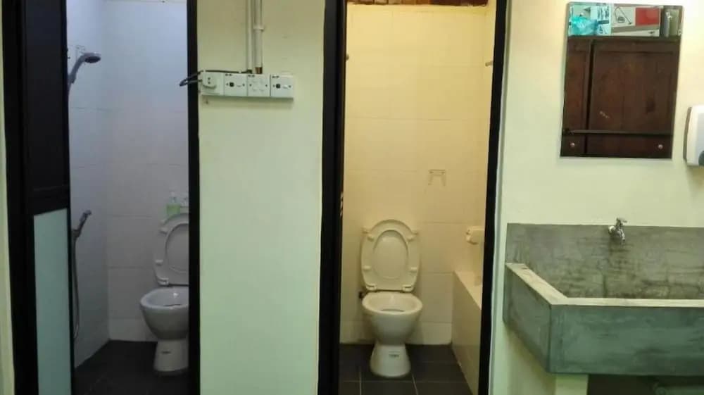 Silver Shine Guesthouse - photo 8