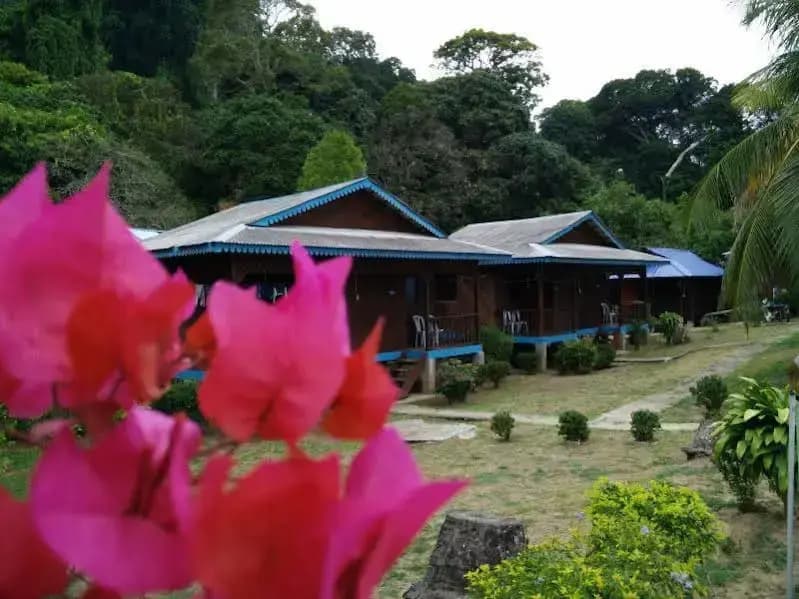 Bayu Tioman Chalet - photo 6