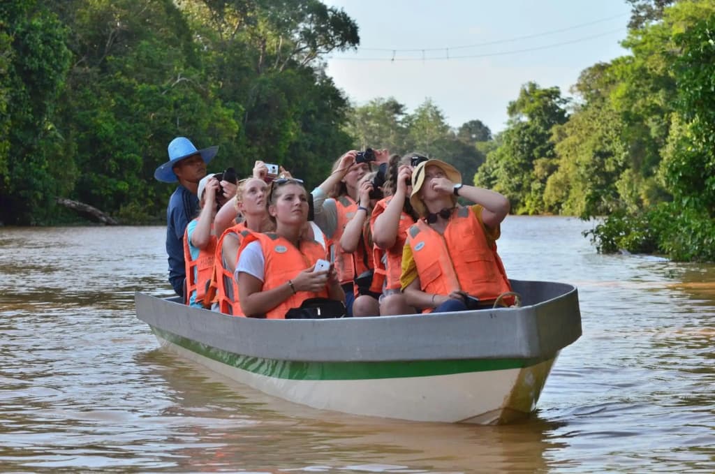Kinabatangan Wildlife Lodge - photo 5