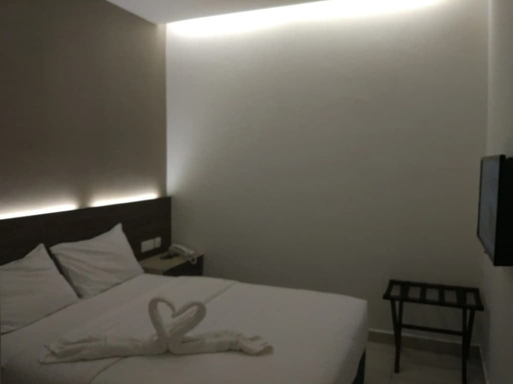 Hotel Alpha - photo 6