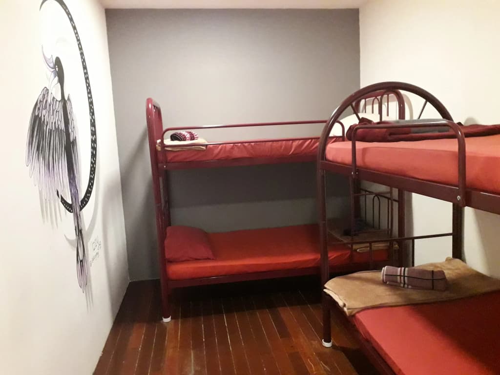 Quiik Cat Mini-Hotel - photo 28
