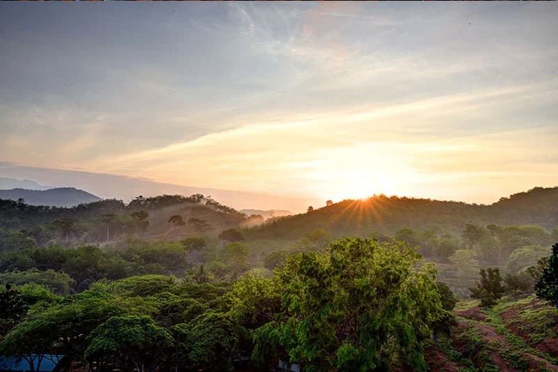 The Orchard Wellness & Health Resort Hotel - photo 3