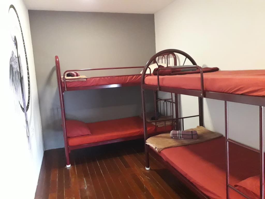 Quiik Cat Mini-Hotel - photo 26