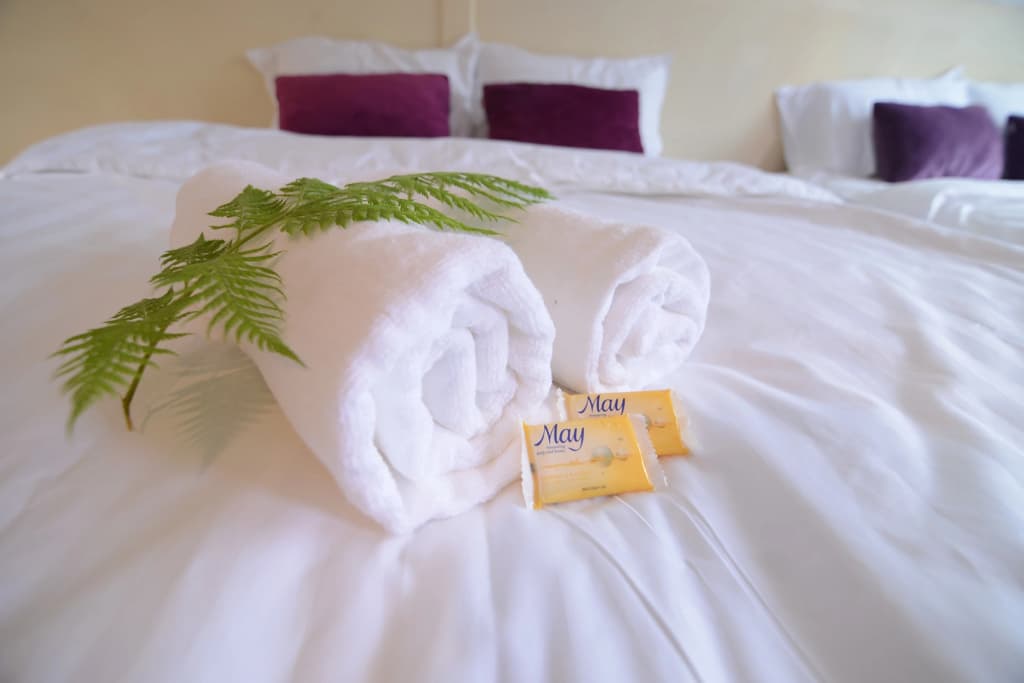 T Paradise Guest House - photo 8