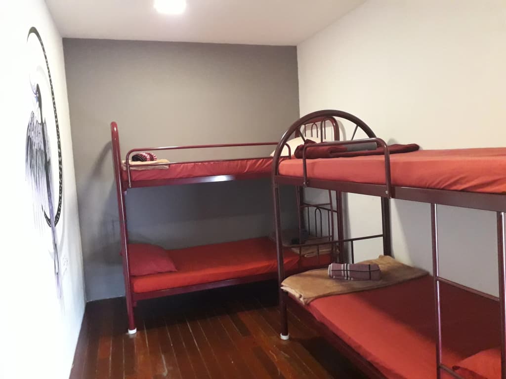 Quiik Cat Mini-Hotel - photo 25