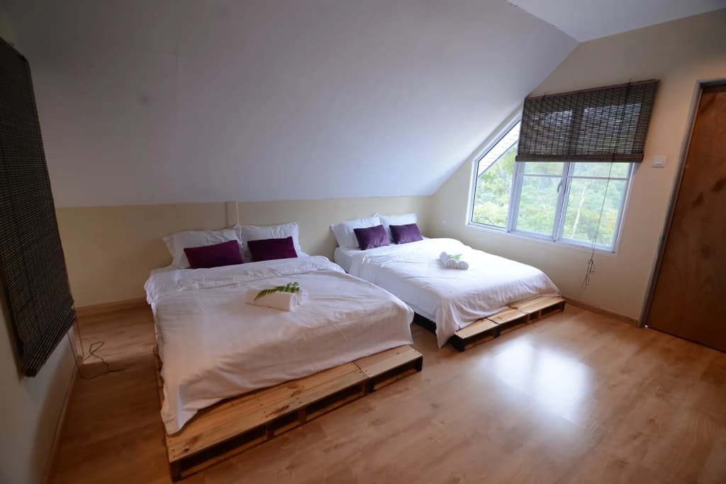 T Paradise Guest House - photo 6