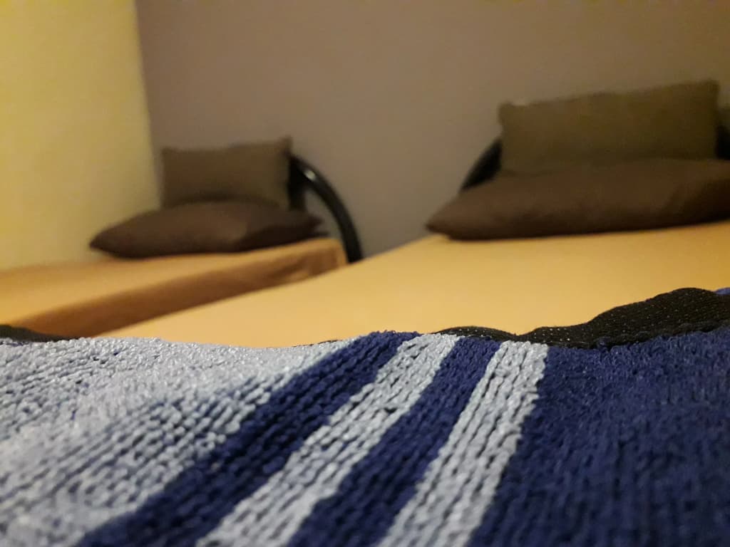 Quiik Cat Mini-Hotel - photo 33