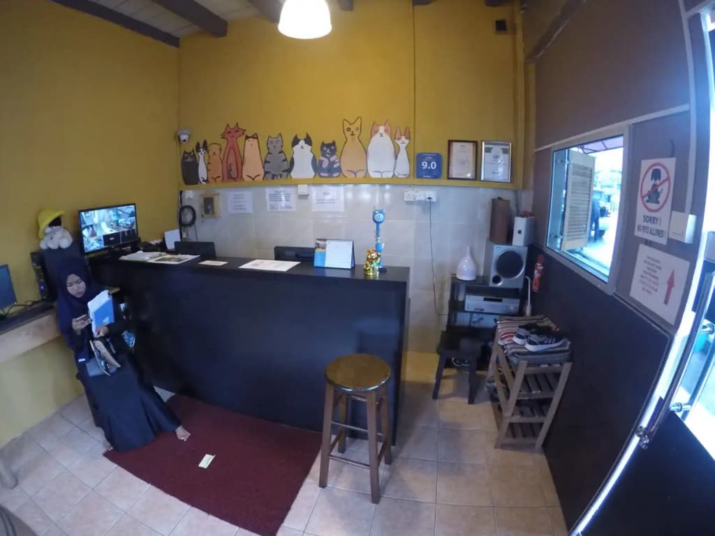 Quiik Cat Mini-Hotel - photo 3