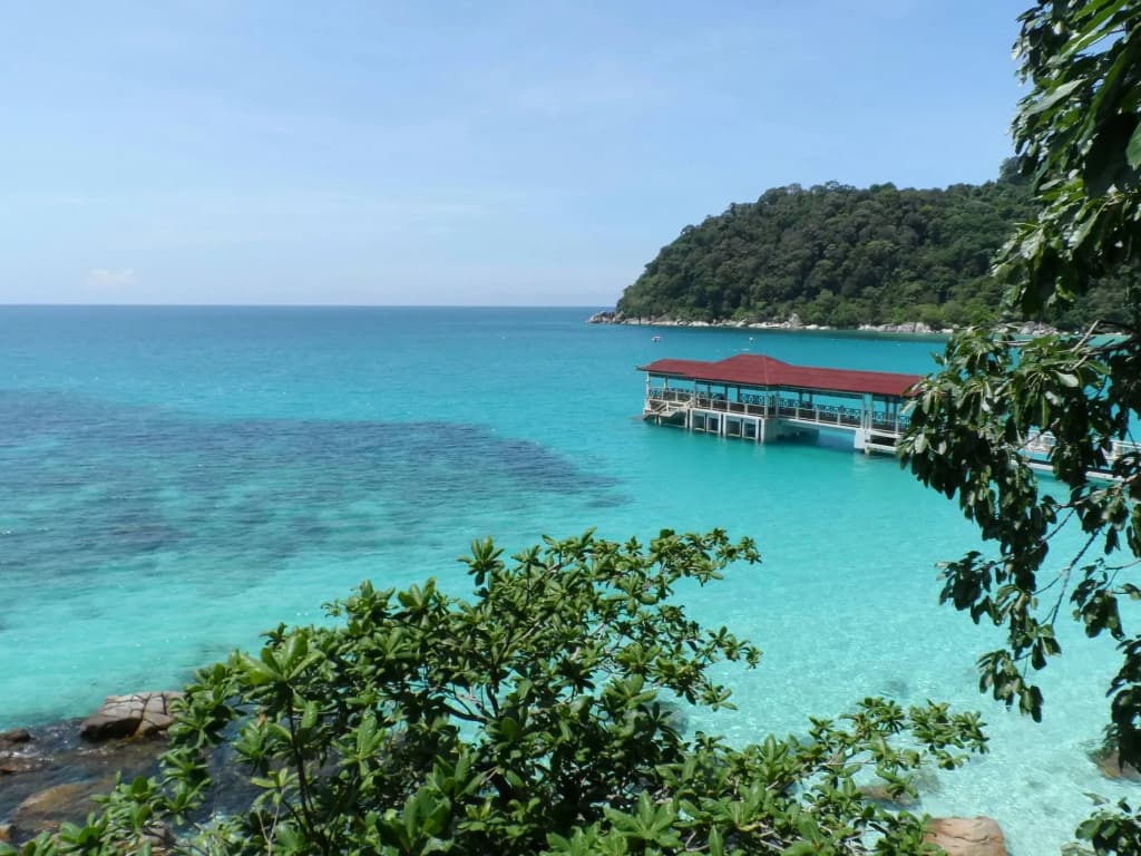 Coral View Island Resort - photo 10