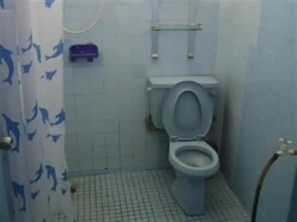 Miri Piasau Jaya Home Stay - photo 6