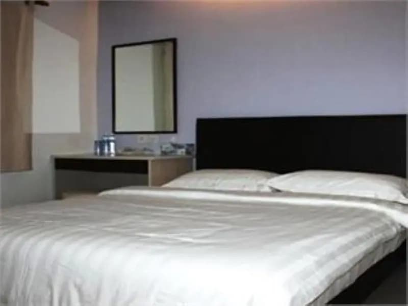 Ibiz Hotel - photo 5