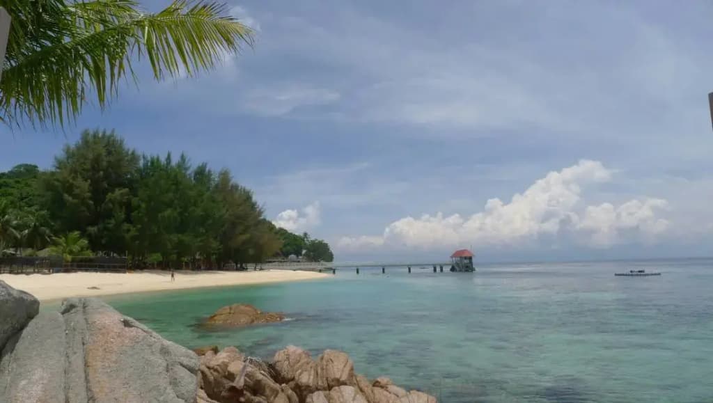 Coral View Island Resort - photo 13