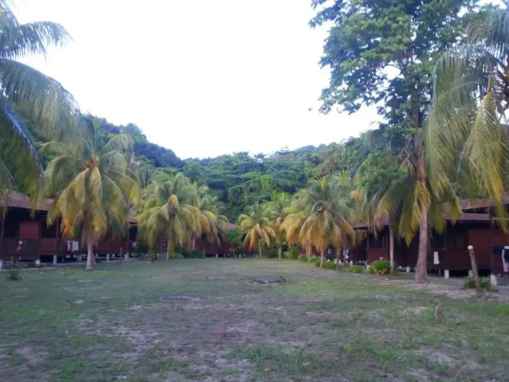 Kapas Island Resort - photo 11