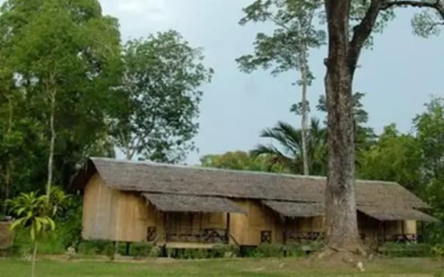 Borneo Proboscis River Lodge - photo 3