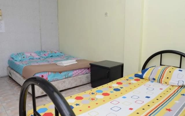 city backpackers - photo 3