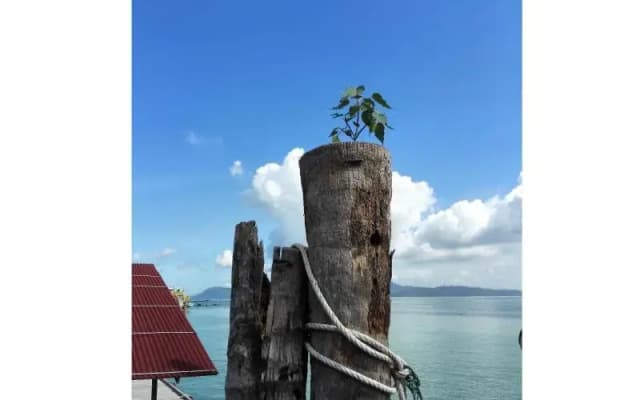 Pangkor Home Sea Village - photo 3