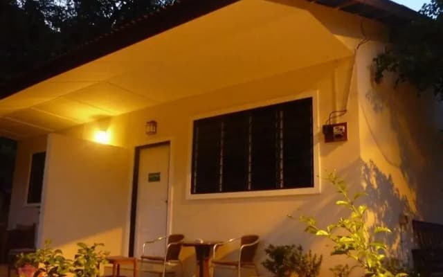 Palma Mini Homestay - photo 4