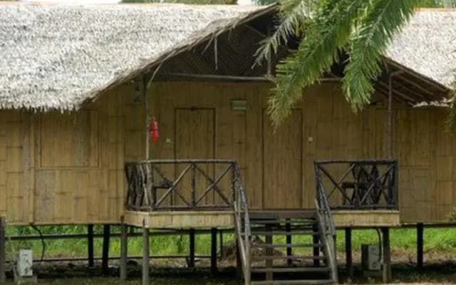 Borneo Proboscis River Lodge - photo 5